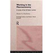 Working in the Macro Economy: A study of the US Labor Market