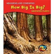 How Big is Big