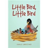 Little Bird Little Bird
