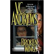 Broken Wings